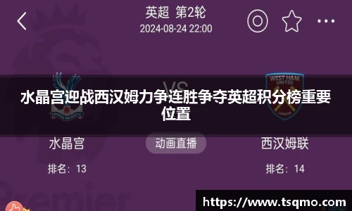 水晶宫迎战西汉姆力争连胜争夺英超积分榜重要位置